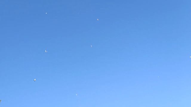 вот эта кайф. смотреть онлайн