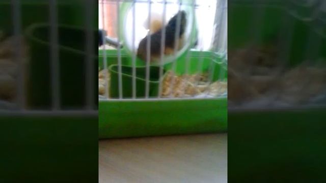 27 мая 2016 г. смотреть онлайн