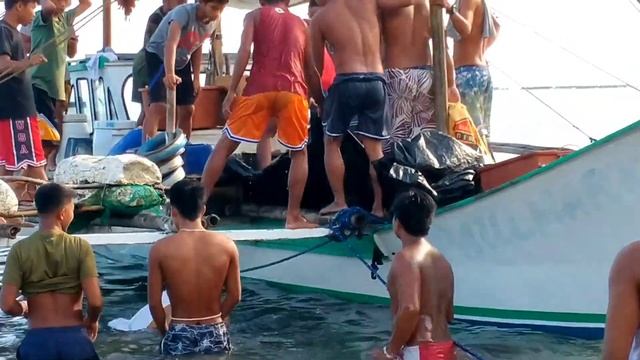 Breaking News! Halos 500 kilos na Tuna nahuli sa Baler. Sampung oras bago nai ahon sa Banka!😯😱 смотреть онлайн
