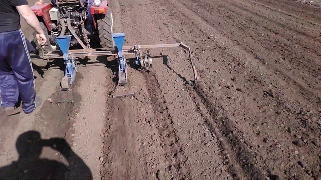 Синтай Рулит$$$$$$$$ смотреть онлайн