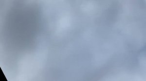 Правильная тренировка голубей! Продолжение следует…!!!