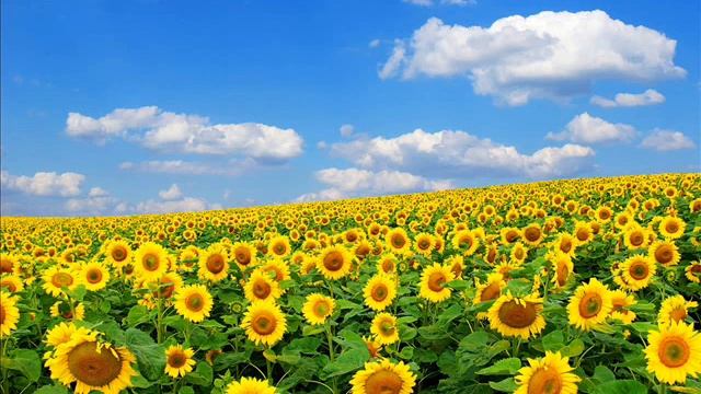 best music for relax#6 лучшая музыка для сна и отдыха) смотреть онлайн