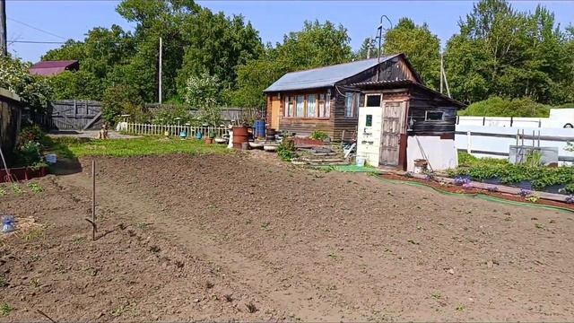 🍅Наша теплица🥒/🍲Что готовлю из щавеля/Ткани/🏡Заехала на участок смотреть онлайн