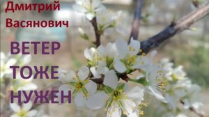 Дмитрий Васянович. Ветер тоже нужен. Читает автор.