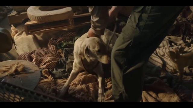 Моя озвучка (Большой красный пёс Клиффорд) 4 часть🦴🐾🐕🦴🐶 смотреть онлайн