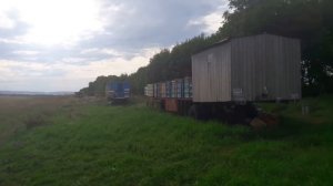 разнообразие кочевых пасек