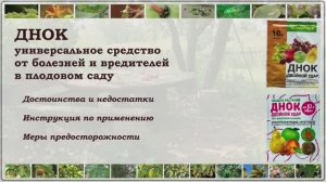 ДНОК - одно средство от болезней и вредителей сада. Ожидания и реальность. Стоит ли им пользоваться?