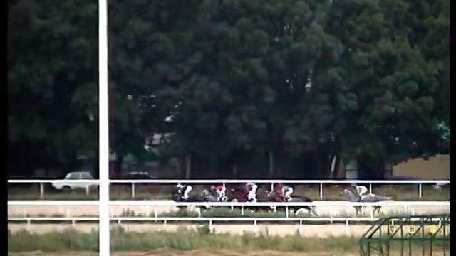 10.07.11.Приз Жокей-Клуба на лош. 4+ ч/к-Стикт. смотреть онлайн