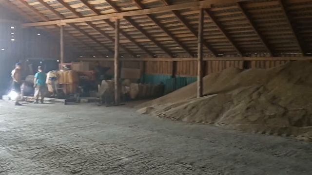 Альбит - результаты эксперимента на овсе №31 смотреть онлайн