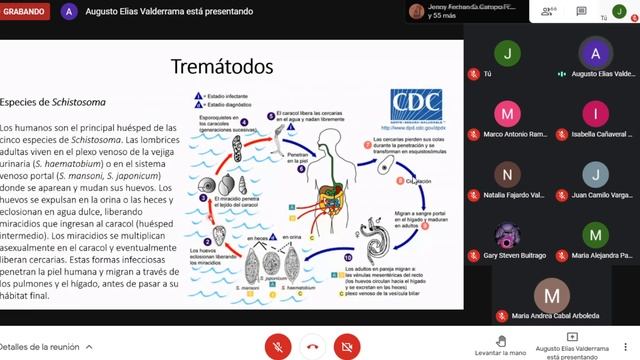 Parasitología y Micología - Céstodos y tremátodos. смотреть онлайн