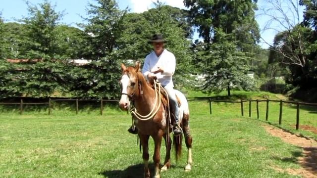Gareth Mare' on how to stop a horse rearing смотреть онлайн