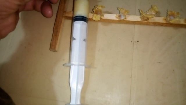 Сбор маточного молочка смотреть онлайн