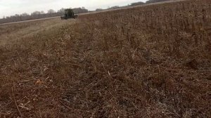 Подсолнечник. Экономика: сколько стоил эксперимент? №41