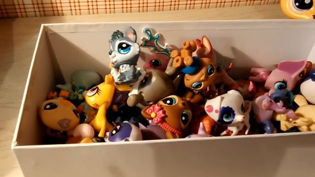 Моя коллекция Lps