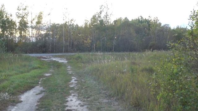 Путешествие в Рязанскую область. Коп монет. Вымирающие, зарастающие и пропадающие деревни. Эх дороги смотреть онлайн