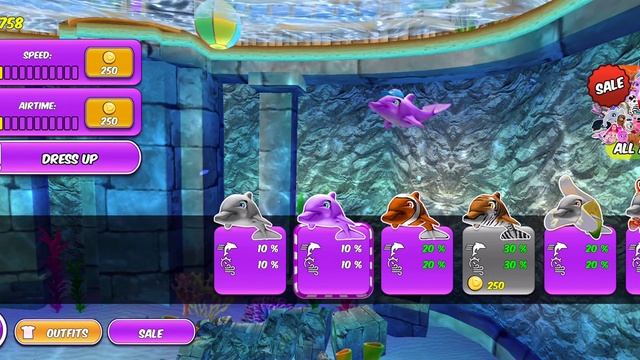 Dolphin Show Games