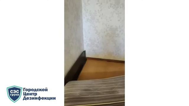 Обработка у пенсионеров от клопов смотреть онлайн