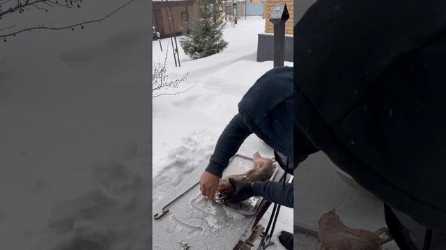 Кролик в тандыре по рецепту от Рината