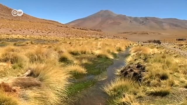 Bolivia contrademanda a Chile en La Haya смотреть онлайн