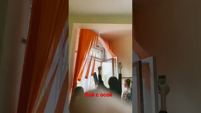 ОСА В КЛАССЕ смотреть онлайн