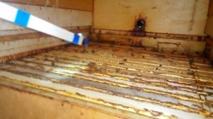 В защиту сублиматора . Пролив амитразом  павильона .