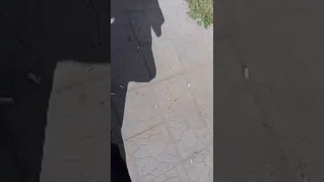 🔴 Стрим | Идём со школы | Отвечаю на вопросы 🔴 #shorts