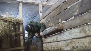 2. Кормушка для дробленки телятам. Своими руками быстро и не дорого.