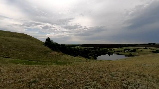 медвежий лоб 4 смотреть онлайн