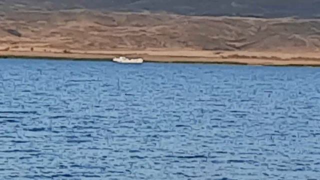 Судак и щука на Самарке. смотреть онлайн