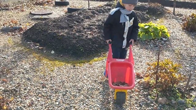 Уборка листьев 2021 смотреть онлайн