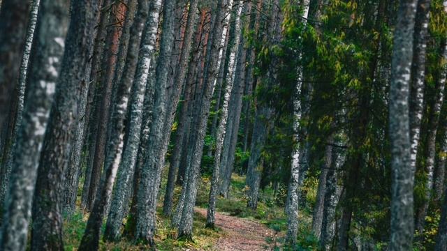 Копеечное средство из аптеки лечит даже... Бефунгин