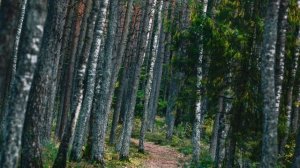 Копеечное средство из аптеки лечит даже... Бефунгин