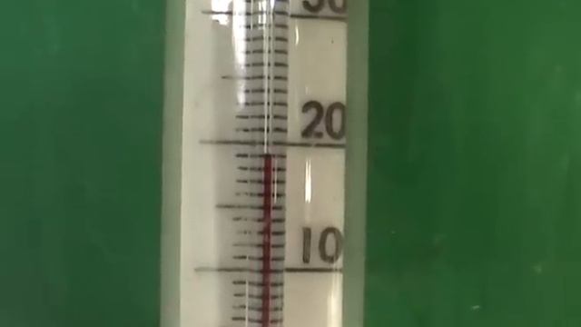 Аномально тепло 16 февраля 2016 года +19 градусов #shorts смотреть онлайн