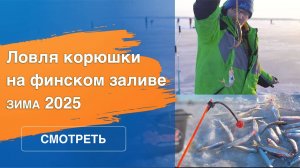 Ловля корюшки 2025 | Подлёдный лов | Финский залив