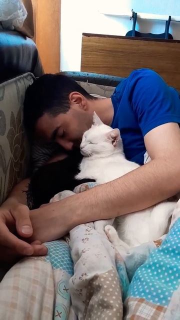 Отдыхаем 😴{сон полезная вещь}#shorts смотреть онлайн