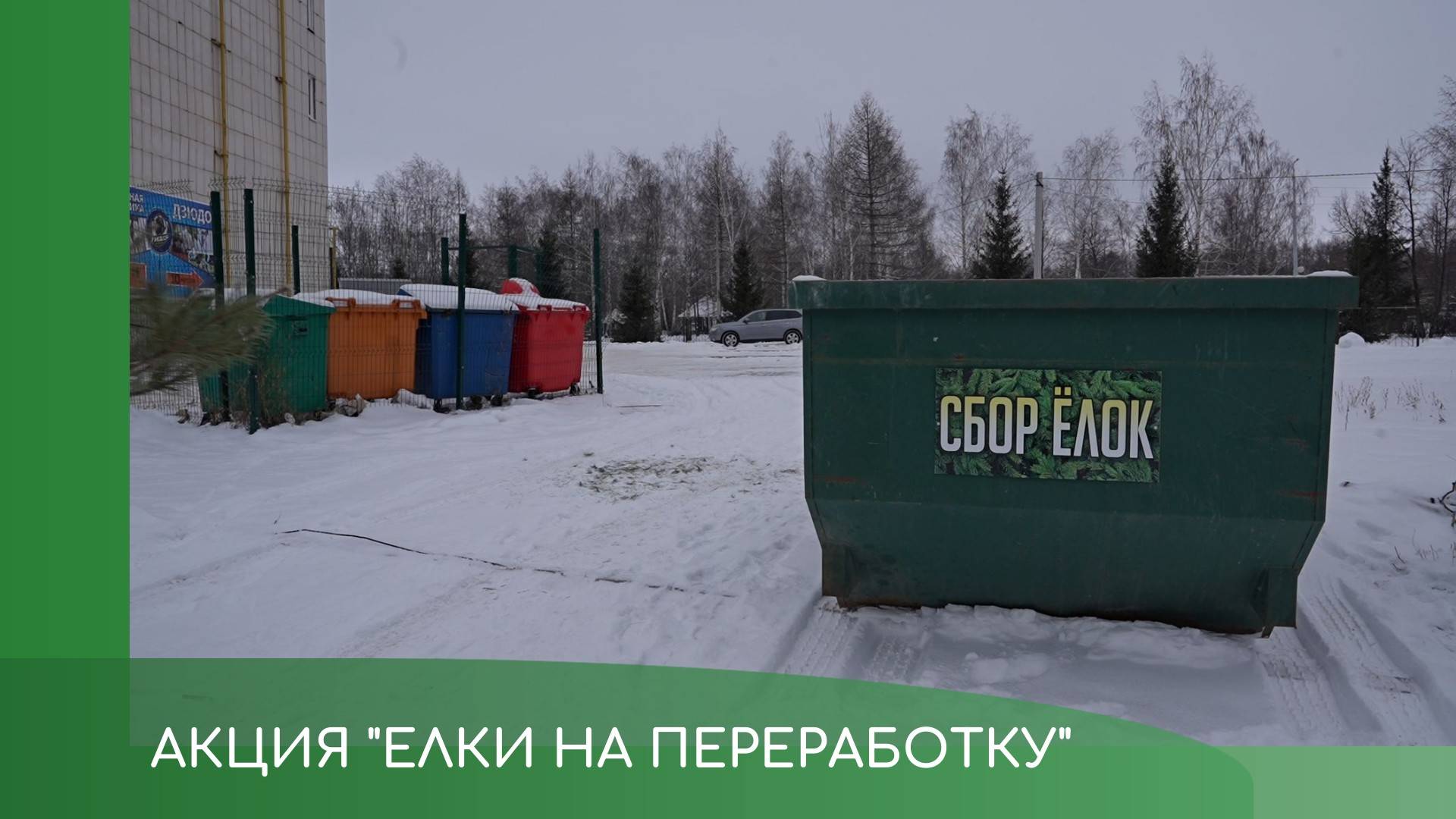 Акция "Елки на переработку" смотреть онлайн