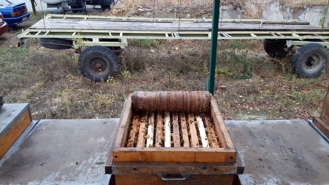 семья 3 корпуса в зиму часть 2 смотреть онлайн