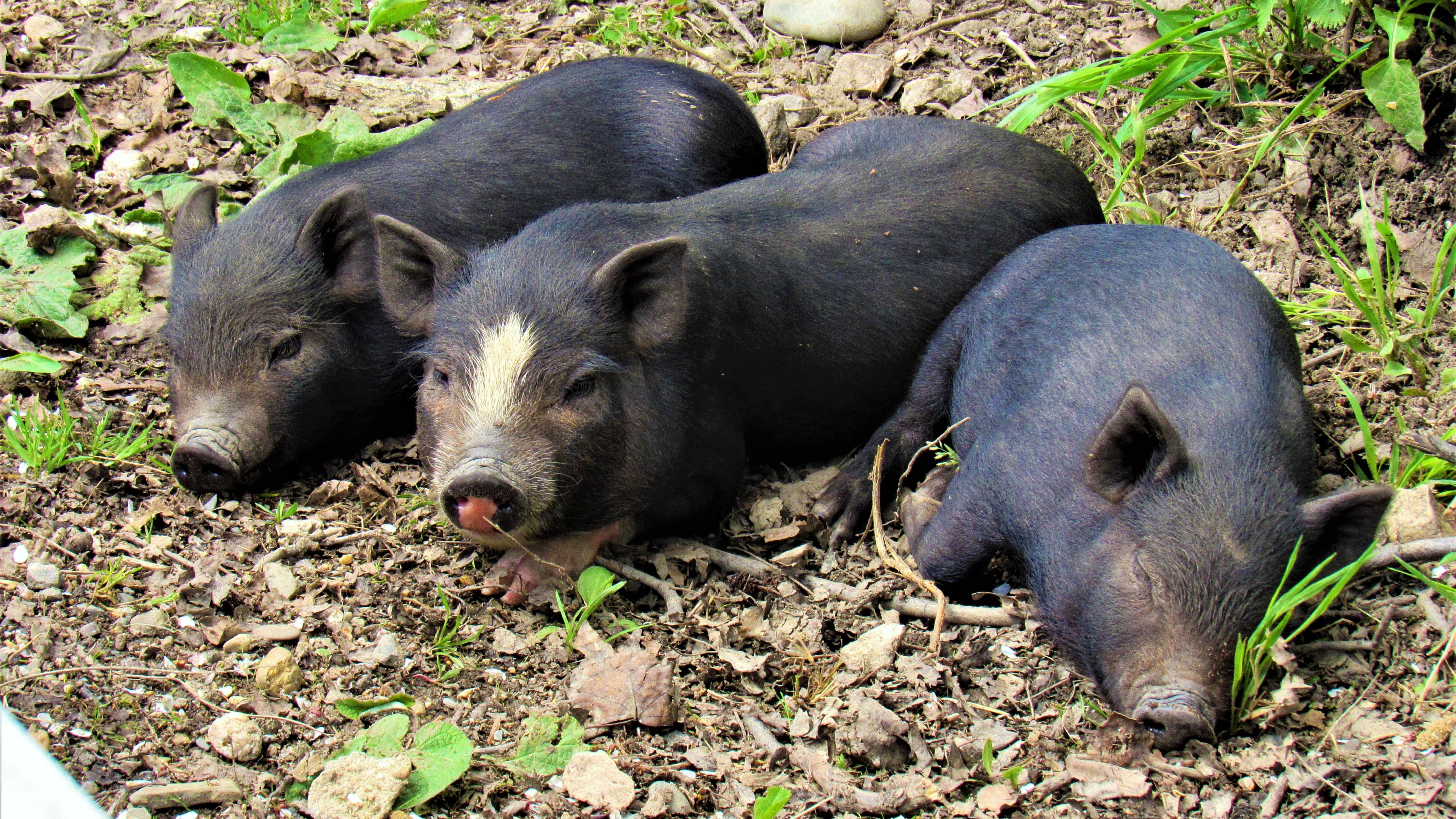 Родственные души смотреть онлайн