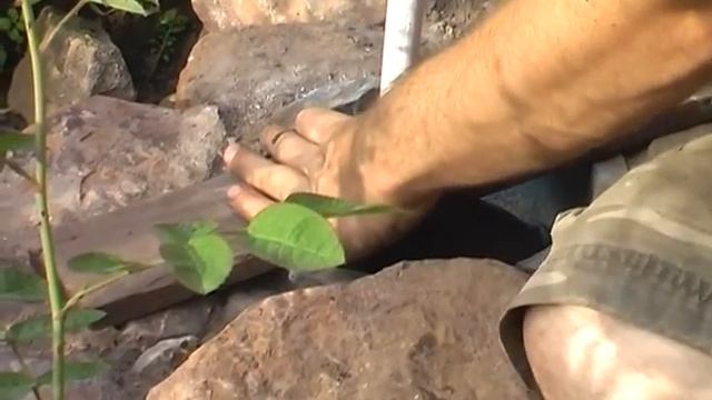 Чаша поилка Часть 9. Коммуникации #строительство смотреть онлайн