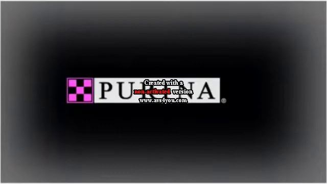 Purina Logo In G Major 42 смотреть онлайн