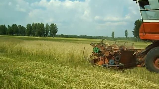 Игорь растеряев - Комбайнеры. Уборочная. Выращивание хлеба. смотреть онлайн