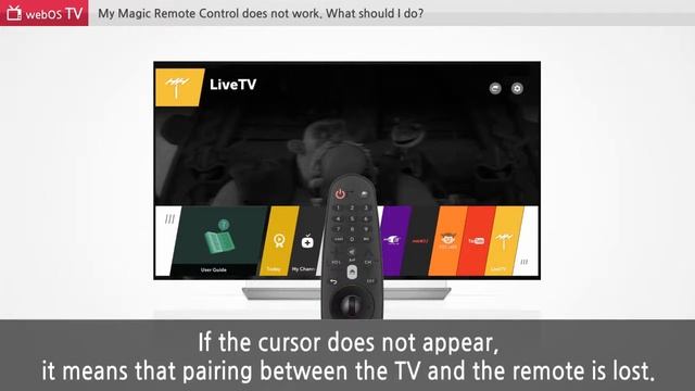 [LG WebOS TV] - Magic Remote Not Working In Your LG TV