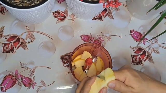 ЕҢ ӘЛСІЗ БӨЛМЕ ГҮЛІН ҚАЛАЙ ҚАЛПЫНА КЕЛТІРУГЕ БОЛАДЫ? смотреть онлайн