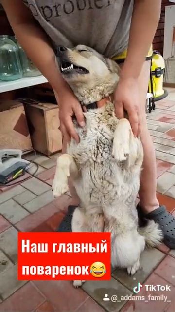 Минутка мимишности смотреть онлайн