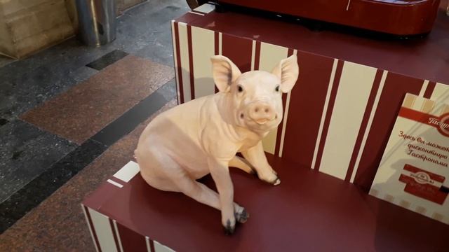 МАЛЕНЬКАЯ СВИНКА смотреть онлайн