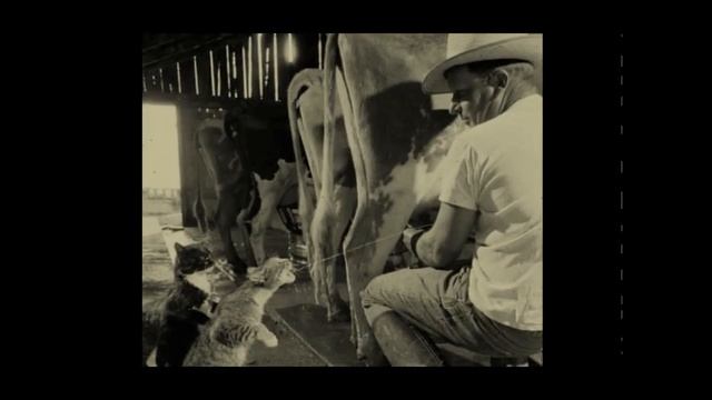 Почему Колхоз с нуля? Старая Николаевка. Клип о сотнях, тысячах деревень... смотреть онлайн