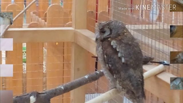 Супер воскресенье!!! смотреть онлайн