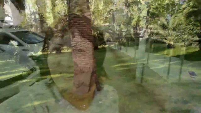 12.05.2021. Прогулка по Сочи 14/ My walk in Sochi/ Mi paseo por Sochi смотреть онлайн