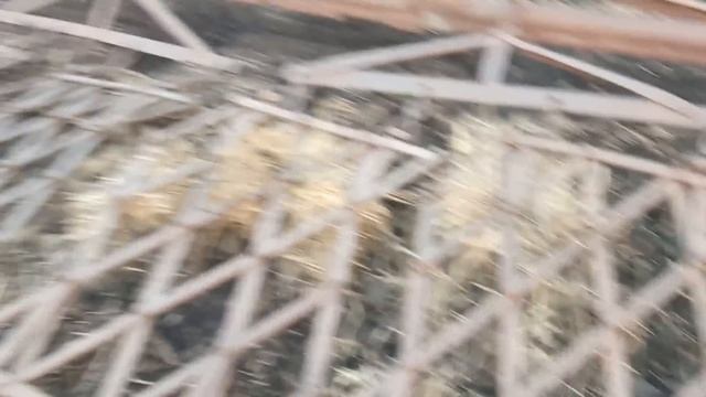 Новое или старое? Купили борону и сравниваем №16 смотреть онлайн