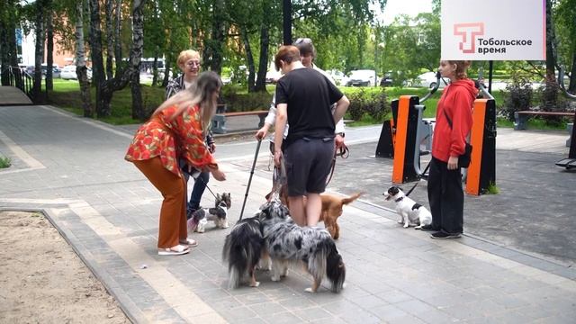 ДОМ ДЛЯ ДРУГА от 04.08.2024 31 ВЫПУСК смотреть онлайн